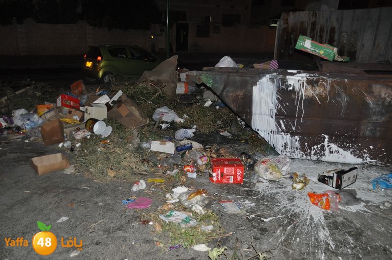 trash lud 907 (48).JPG